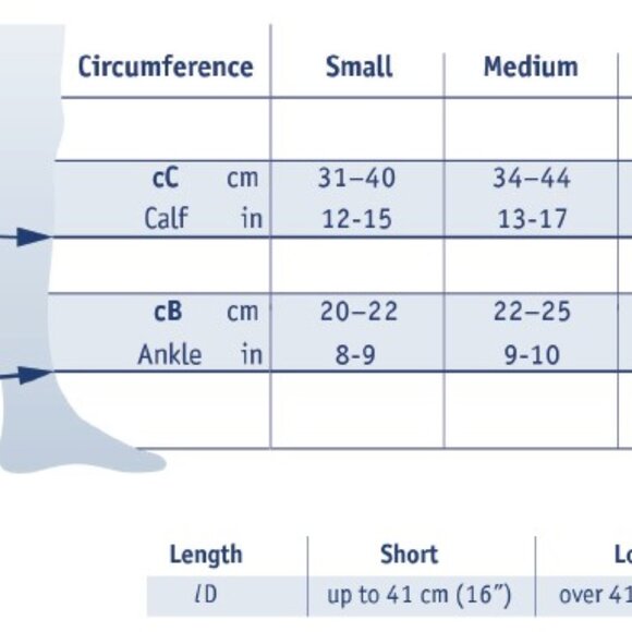 BAUERFEIND Compression Sock Training Sports Socks - NEW - Picture 3 of 3